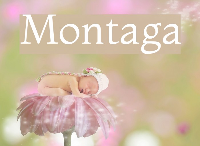 Montaga Font examples