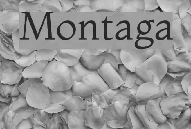 Montaga Font examples