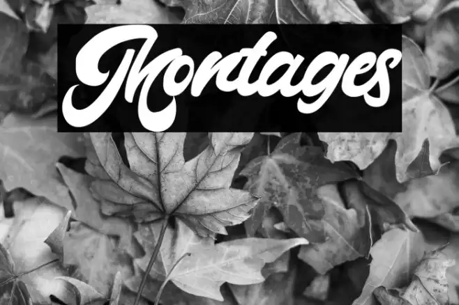 Montages Example 2