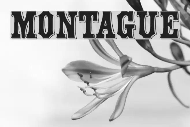 Montague Font examples