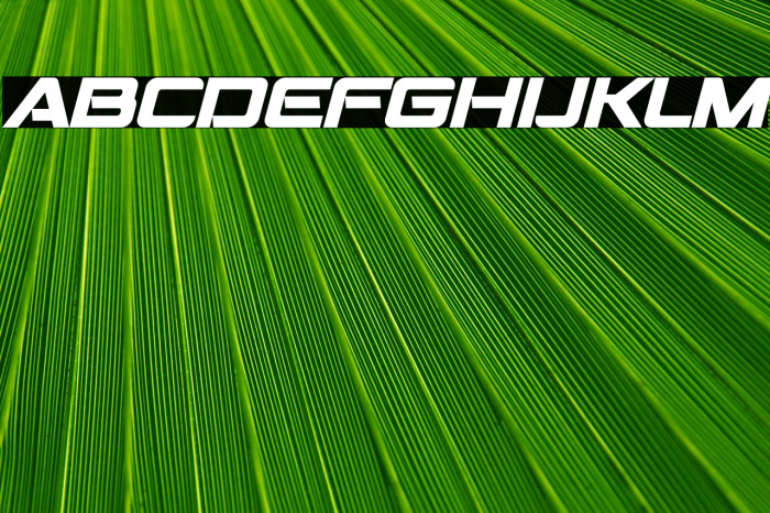 Montalban Bold Italic Example 3