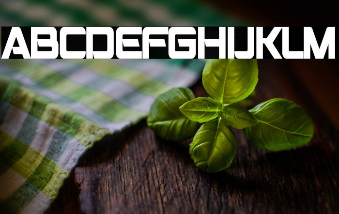 Montalban Condensed Bold Example 1