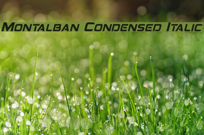 Montalban Condensed Italic Font examples