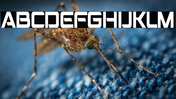 Montalban Condensed Example 2