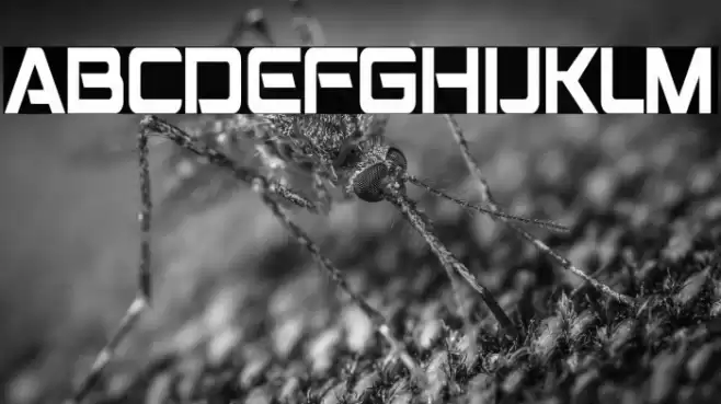 Montalban Condensed Font examples