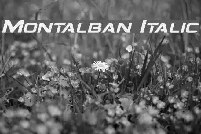 Montalban Italic Font examples