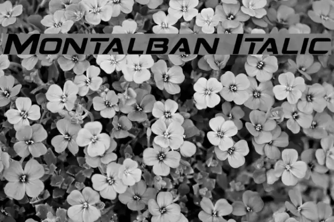 Montalban Italic Font examples
