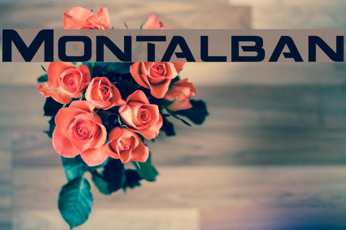 Montalban Font examples