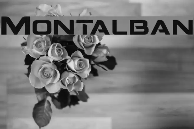 Montalban Font examples