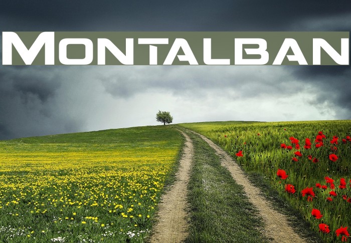 Montalban Font examples