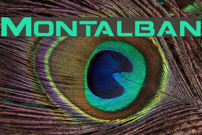 Montalban Font examples