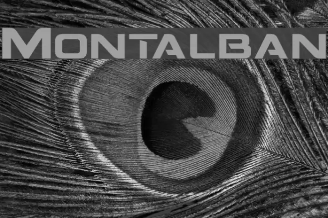 Montalban Font examples