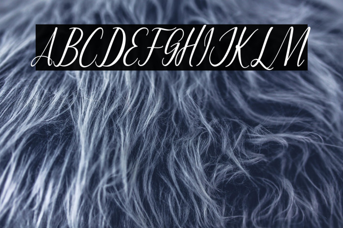 MontaliaScript Example 2