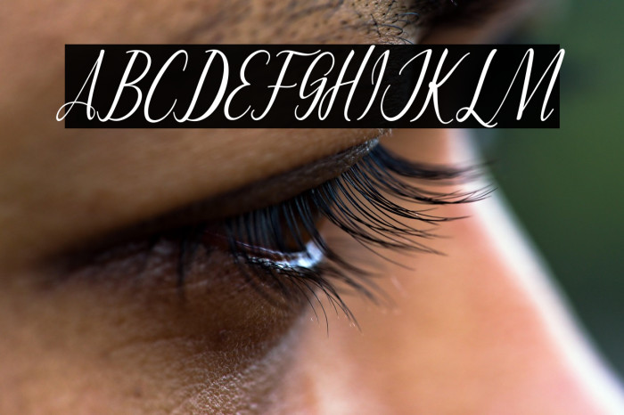 MontaliaScript Example 3