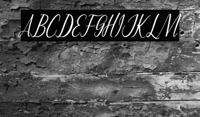 MontaliaScript Font examples