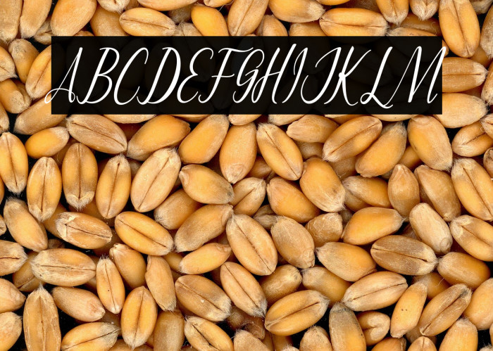 MontaliaScript Example 2