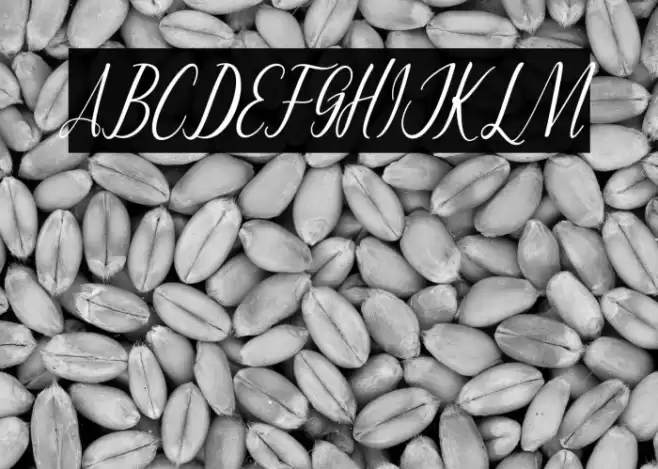 MontaliaScript Font examples