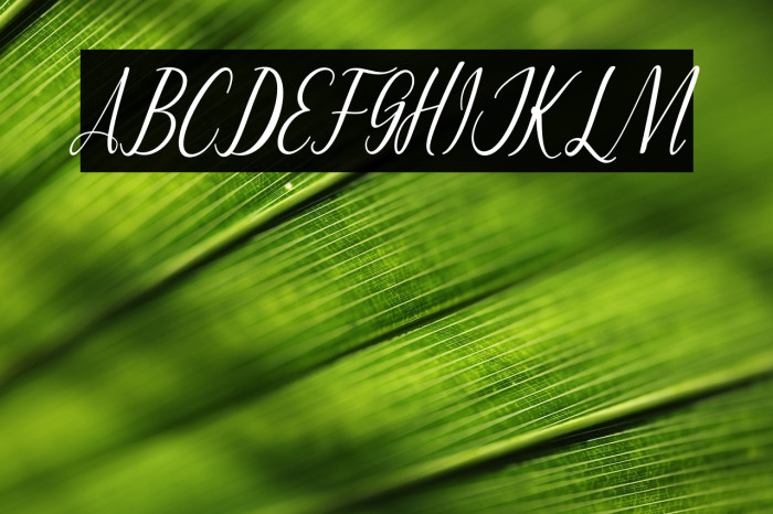 MontaliaScript Example 3