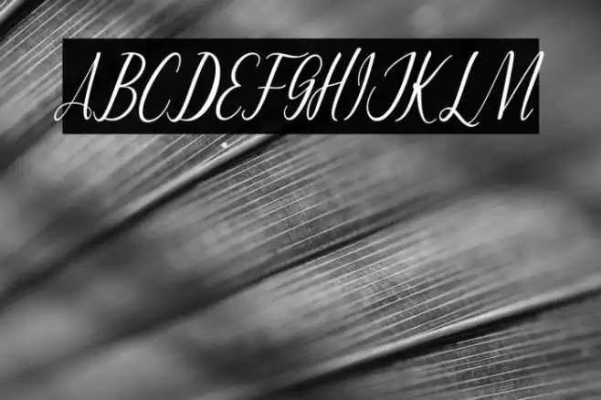 MontaliaScript Font examples