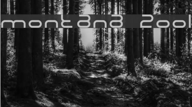 Montana 2001 Font examples