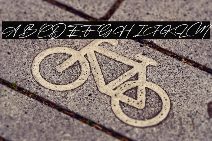 Montana Victory Example 1