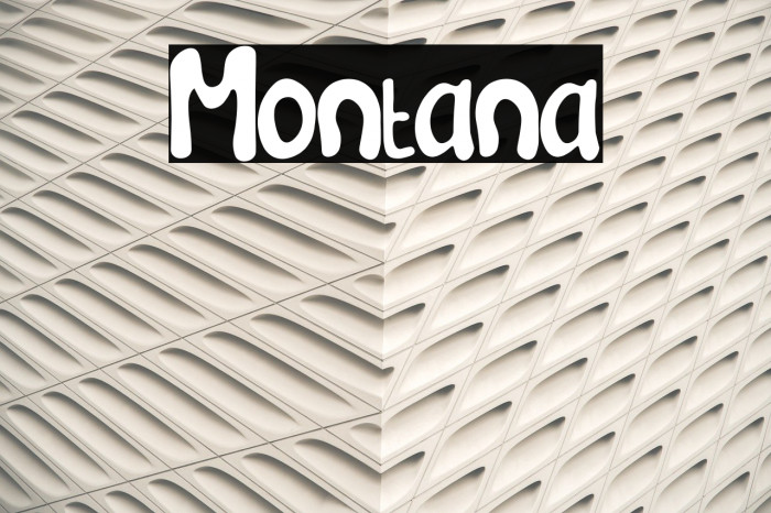 Montana Font examples