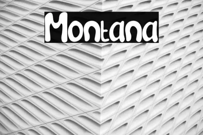 Montana Example 1