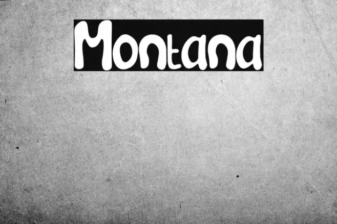 Montana Example 3