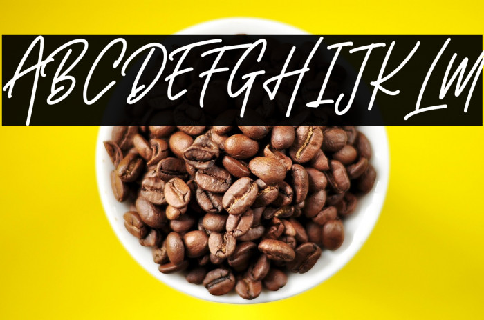 Montaseli Script Example 3