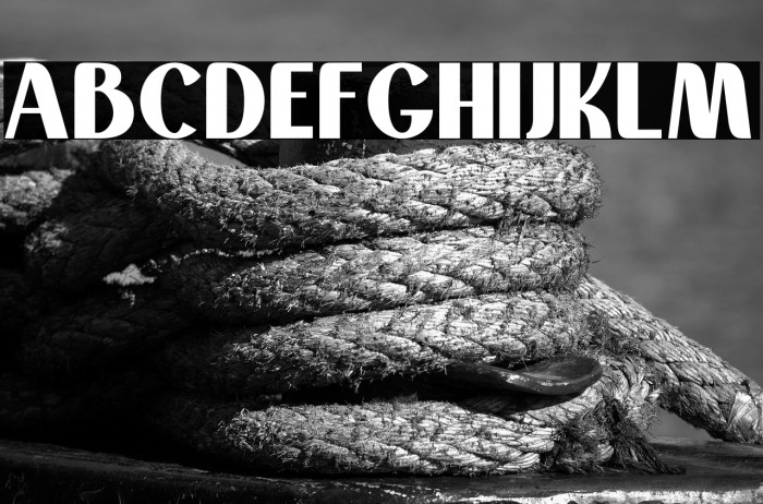 Montaselisans Personal Use Example 1