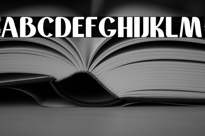 Montaselisans Personal Use Example 3