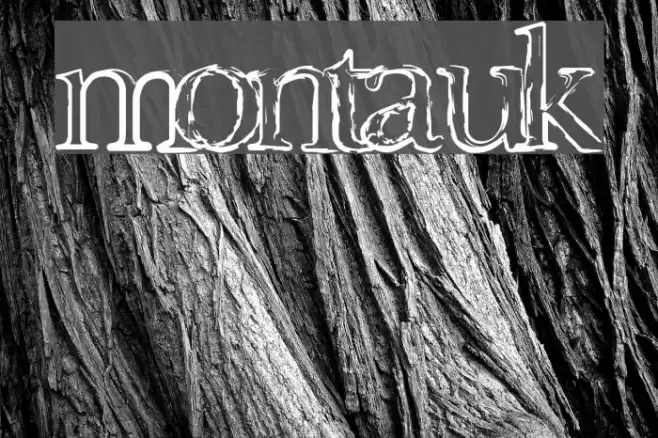 Montauk Font examples