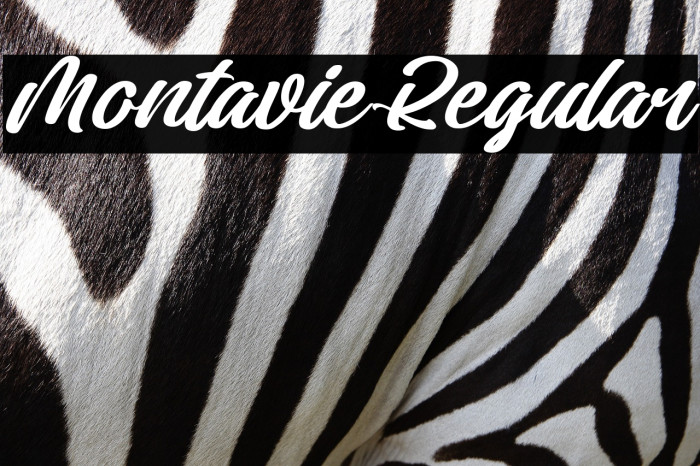 Montavie Regular Example 2