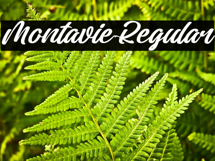 Montavie Regular Example 3