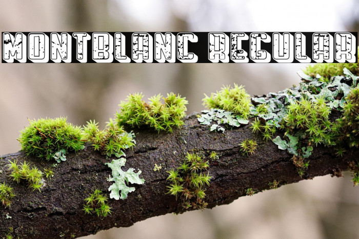Montblanc Regular Example 2