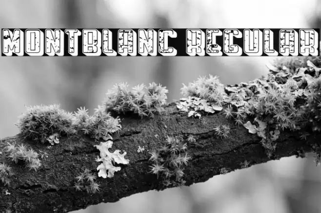 Montblanc Regular Font examples