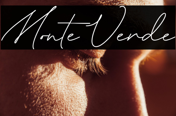 Monte Verde Example 1