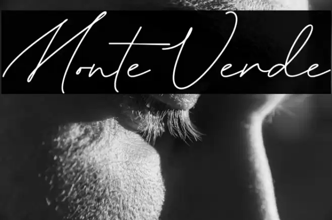 Monte Verde Schriftart examples