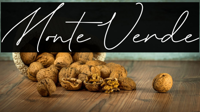 Monte Verde Example 2