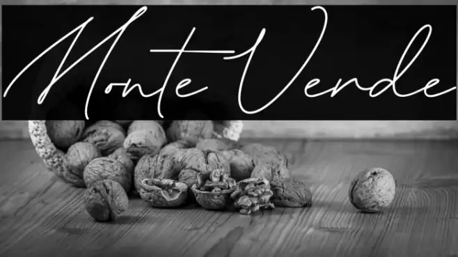 Monte Verde Schriftart examples