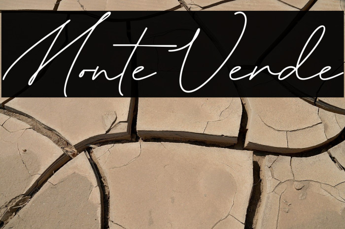 Monte Verde Example 3