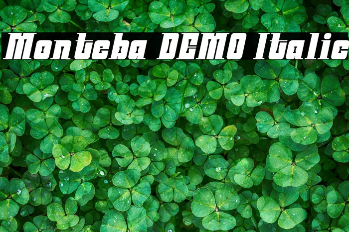 Monteba DEMO Italic Example 3