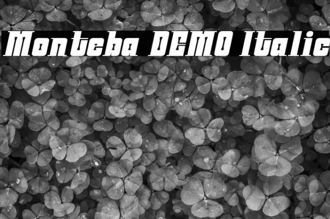 Monteba DEMO Italic फ़ॉन्ट examples
