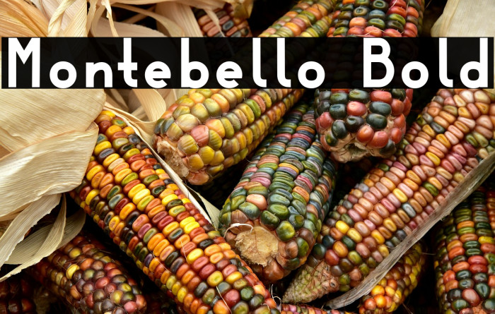 Montebello Bold Example 2