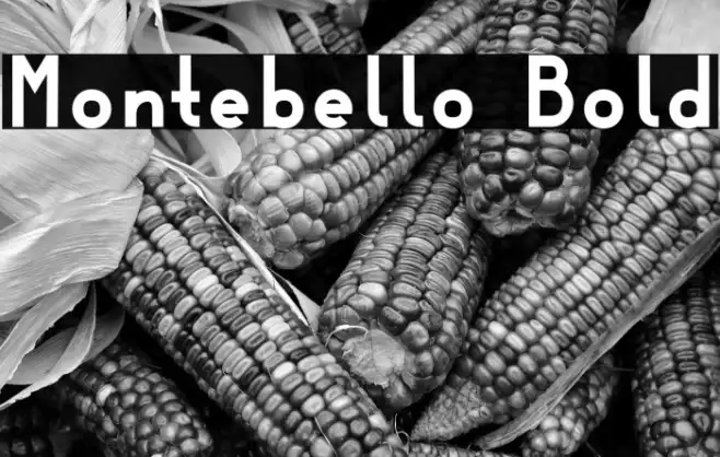 Montebello Bold Example 2