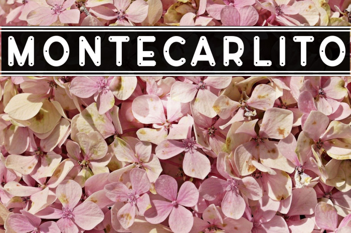 Montecarlito Font examples