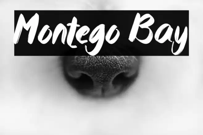 Montego Bay Font examples