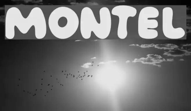 Montel Font examples