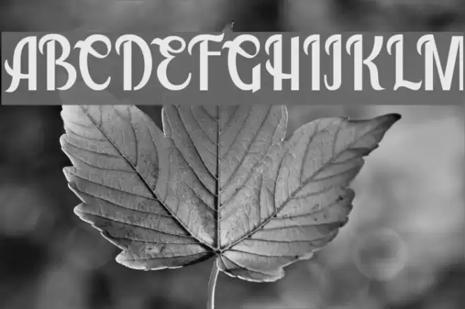 Montello DEMO Regular Font examples