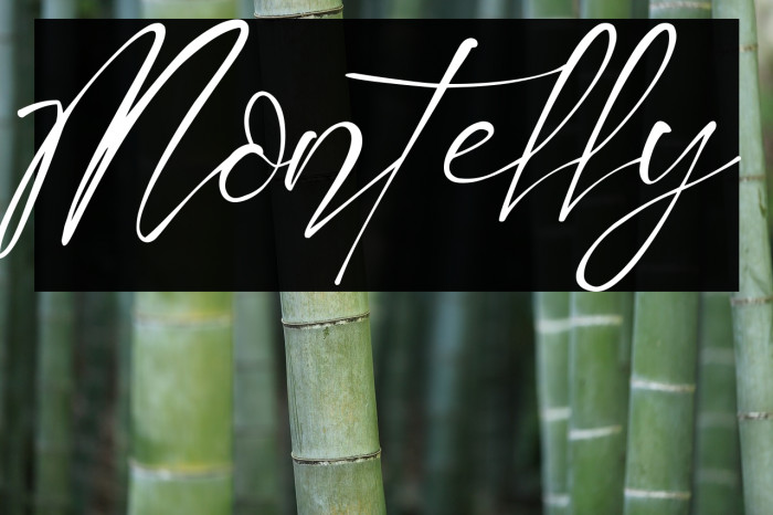 Montelly Font examples